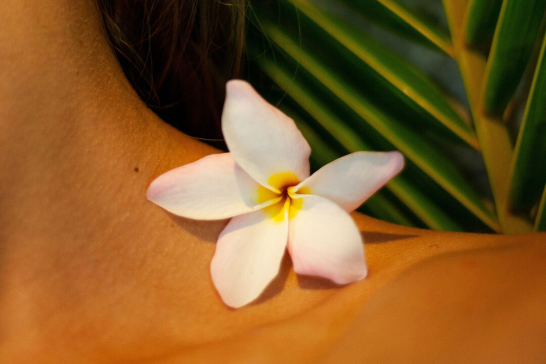 Zen Sense Day Spa, Knysna